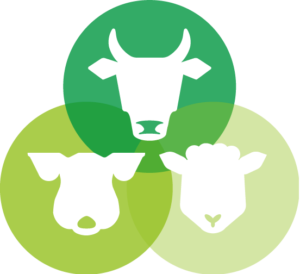 logo CARRE